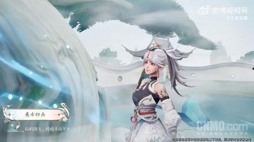 王者皮肤爆料最新皮肤2025,揭秘最新皮肤爆料，炫酷造型抢先看！