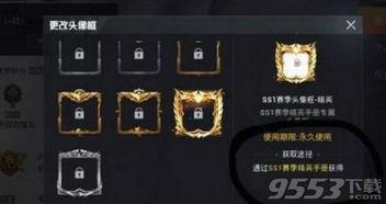 ss1赛季手册最新爆料,全新爆料揭秘赛季亮点与战术策略