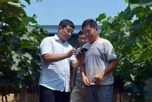 焦作大爷最新爆料