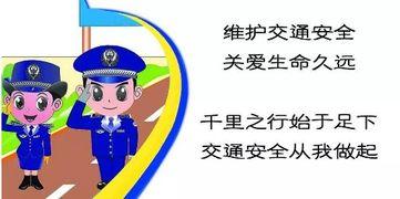 最新平安爆料视频大全,最新热点事件一网打尽